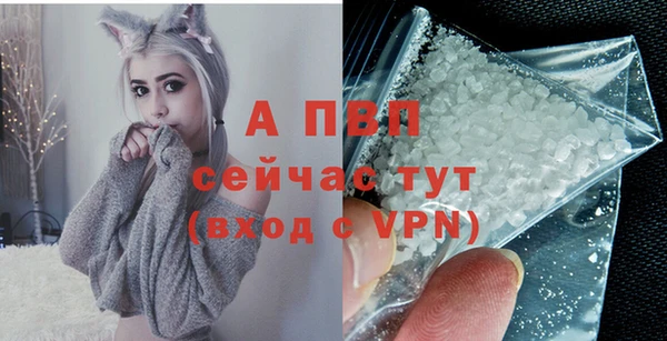 ПСИЛОЦИБИНОВЫЕ ГРИБЫ Карталы
