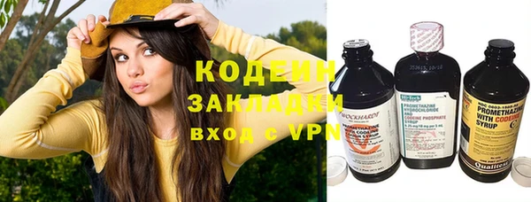 ПСИЛОЦИБИНОВЫЕ ГРИБЫ Карталы