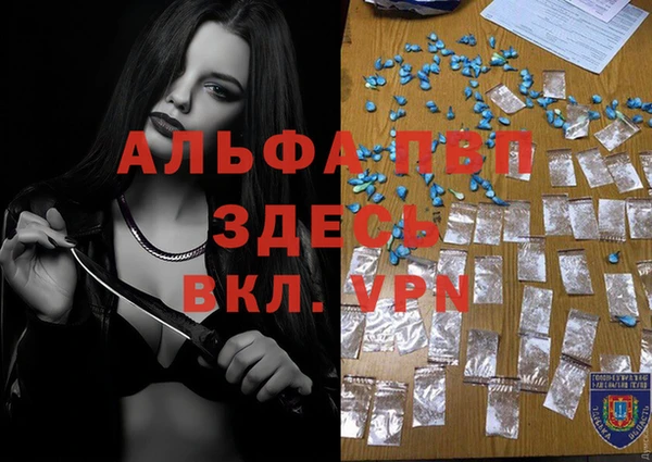 ПСИЛОЦИБИНОВЫЕ ГРИБЫ Карталы